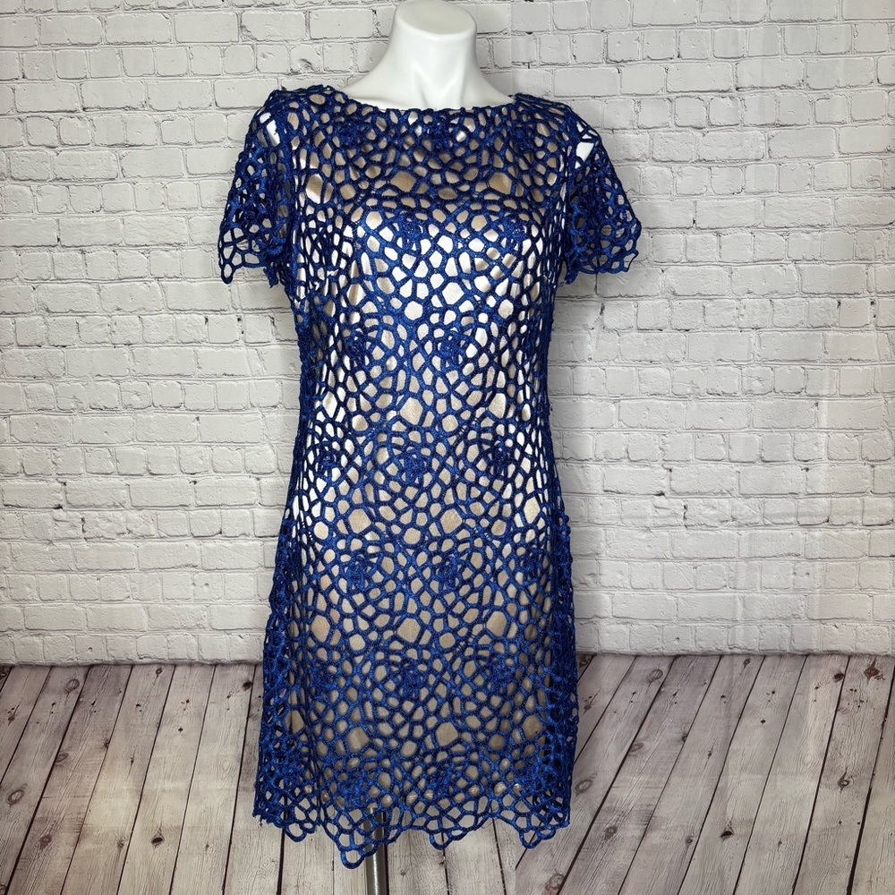Jax Blue Lace Embroidery Illusion Dress Size 12